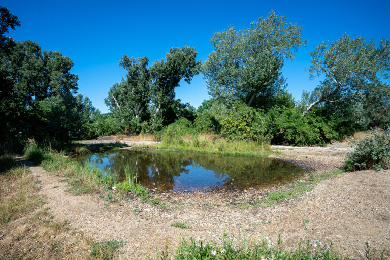 Bečlije će dobiti park na 93.000 kvadratnih metara