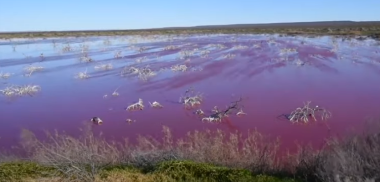 Jezero u Argentini zbog hemikalija promenilo boju