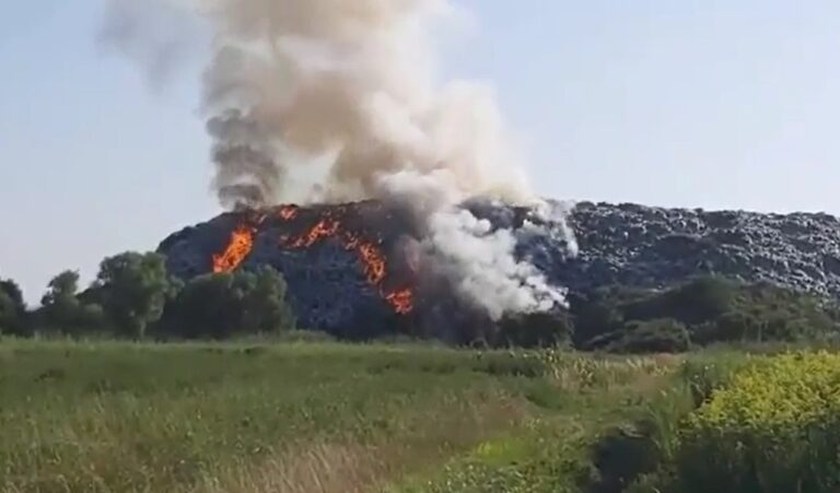 Zapalila se deponija u Novom Sadu – plamen je suzbijen, ali ne i dim (VIDEO)