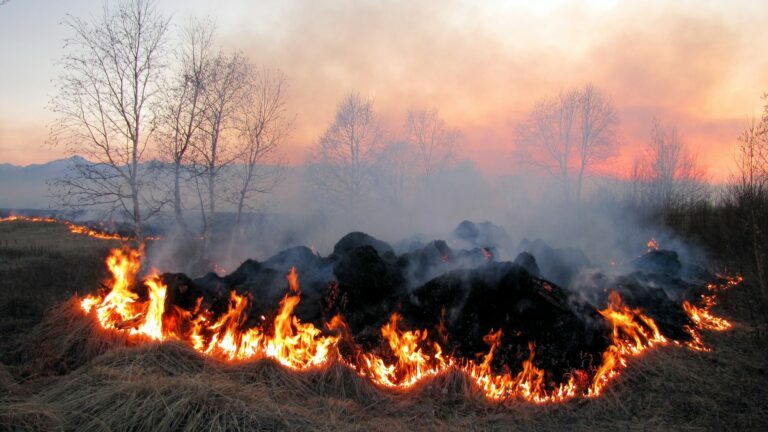 U mesec dana u Srbiji zabeleženo 2.108 požara na otvorenom – apel građanima da budu odgovorni