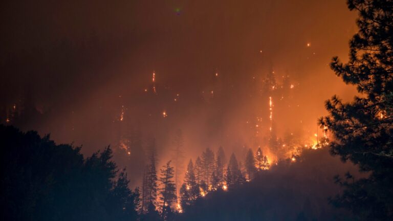 Loše prognoze – broj šumskih požara će se udvostručiti do 2100.