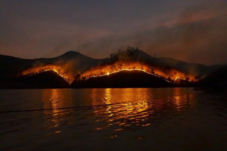 Požari ruše rekorde po zahvaćenim površinama i emisiji ugljenika