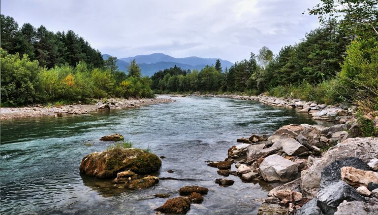 Bez prepreka za zaštitu: Zaustavljena i poslednja MHE na Velikom Rzavu