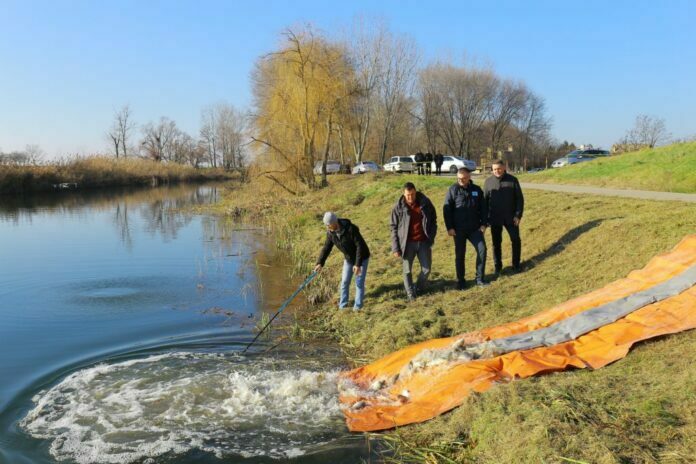 Poribljavanje-Futog-Sombor-5-1024x683