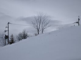 Sela u okolini Loznice bez struje, uvedena vanredna odbrana na Drini
