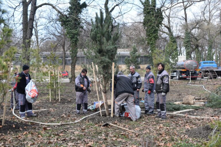 Temerin – Pošumljavanjem do zaštite životne sredine 