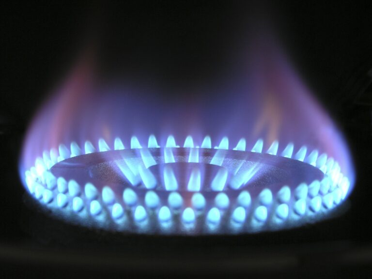 Vlada Uredbama ograničila cene gasa, derivata nafte i osnovnih životnih namirnica