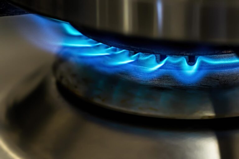 Bajatović: Gas će poskupeti jednom ili dva puta do kraja godine