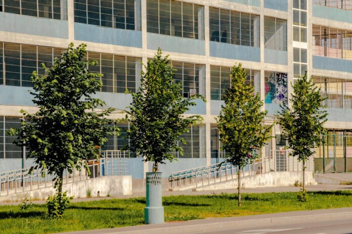 drveće-zeleno-zgrada-grad