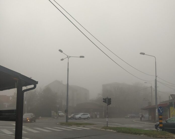 IMG_20221031_071951_2