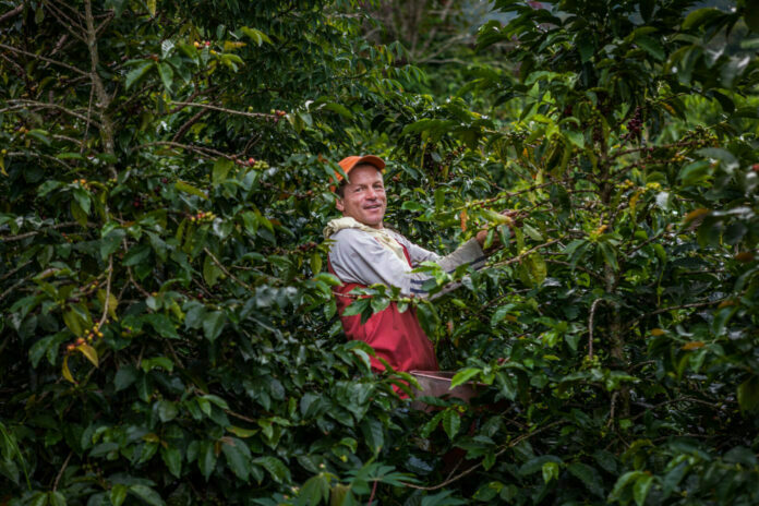 foto 1_NESCAFÉ Plan 2030