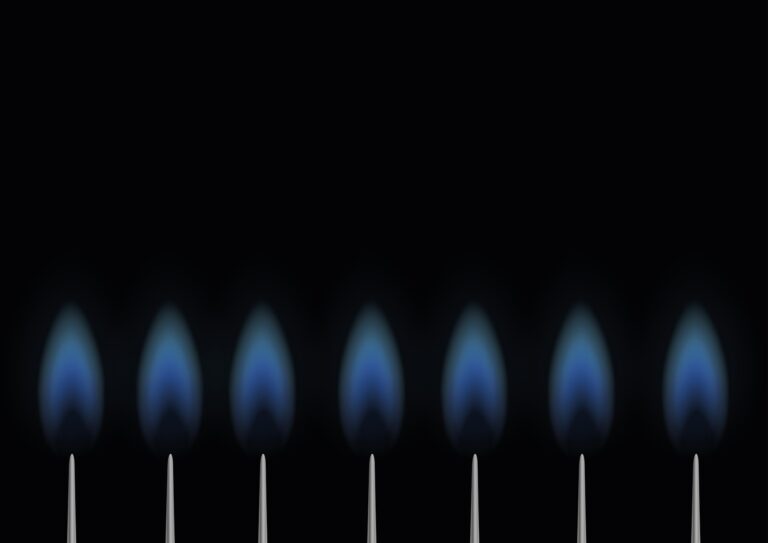 Vlada: usvojena Uredba o privremenom ograničenju cene gasa i nadoknadi razlike u ceni prirodnog gasa