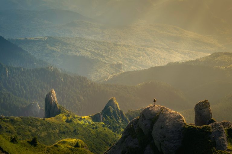 WWF: Poziv za podizanje kapaciteta organizacijama civilnog društva koje se bave pitanjima životne sredine i klimatskih promena u Srbiji