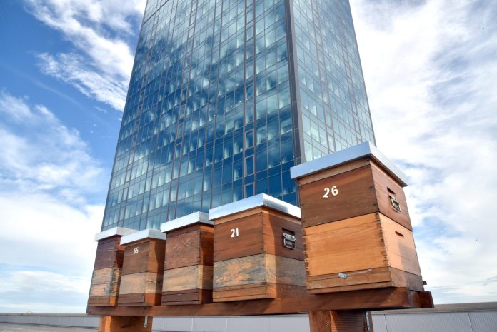 kosnice USCE SC krovu