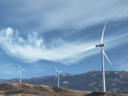 Dosadašnji rezultati aukcija u Energetskoj zajednici pokazuju svoju ulogu u širenju OIE aukcije