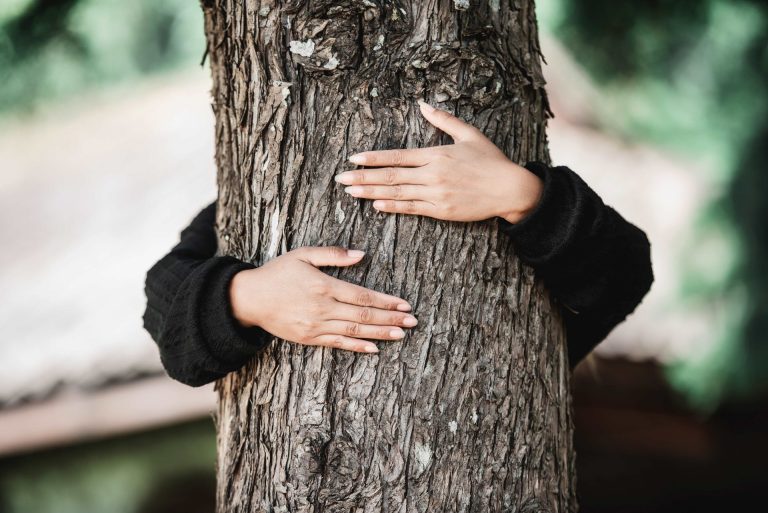 Čipko pokret – zagrljajem protiv seče drveća