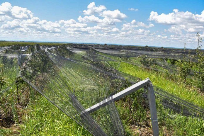 363426417_604438161835720_1132807680680896441_n