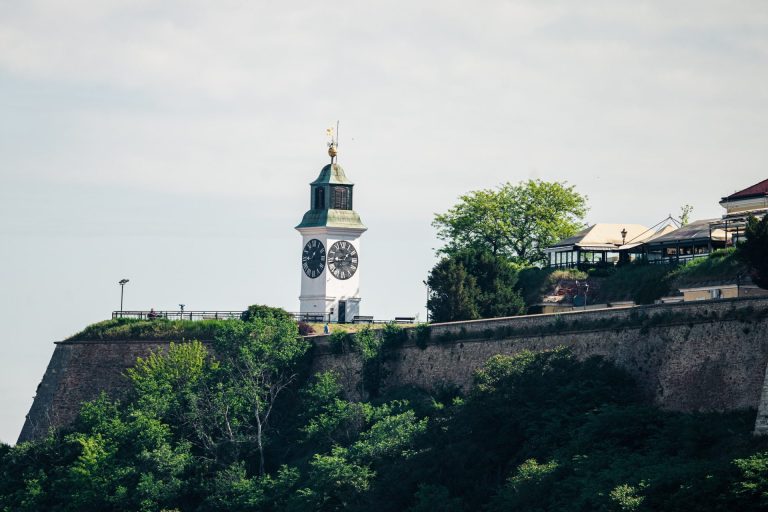 Nastavlja se inicijativa sadnje drveća u Novom Sadu