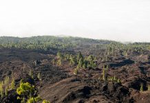 Prirodni procesi ili ljudska greška – geolozi o klizištima, zemljotresima i rizicima gradnje