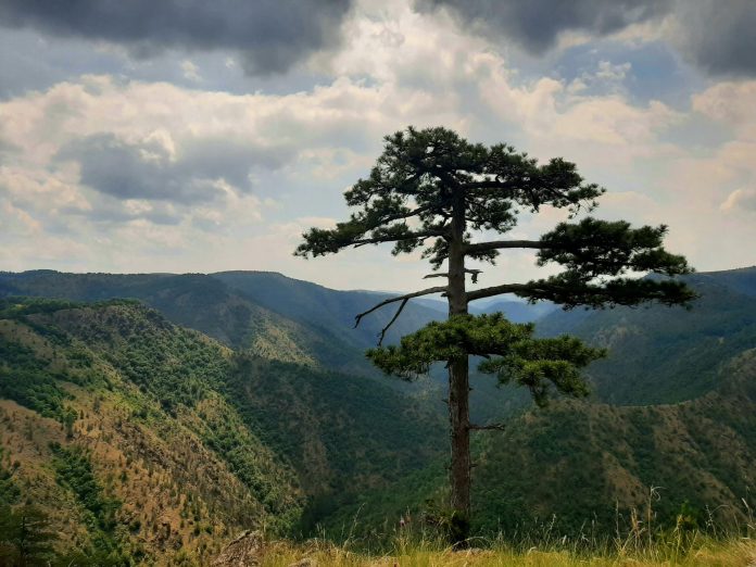 serbianmountaineer-ZkQpudKd7lo-unsplash