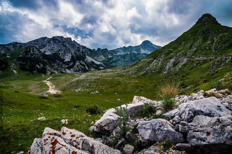 Crna Gora: Otkrivene nove vrste i staništa u nacionalnim parkovima