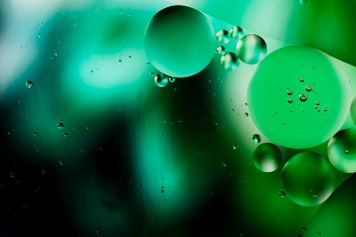 green-dew-abstract-watery-morning-background