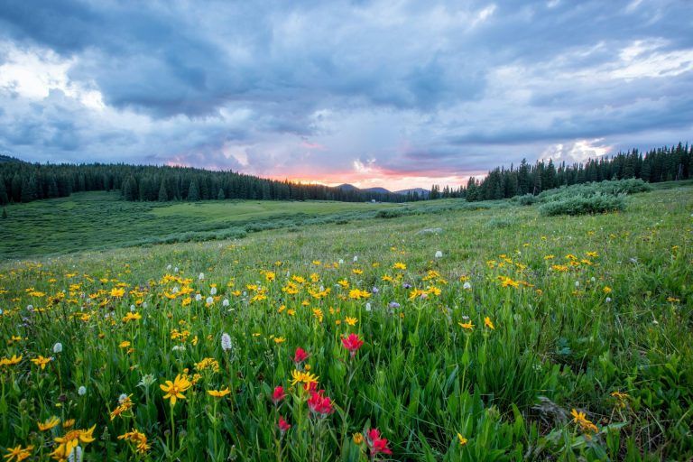 WWF Forum ekoloških politika – Razvojne mogućnosti prirode u Srbiji