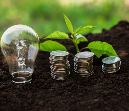 Kako je protekao poziv za zelene investicije: predstavljen nov model finansiranja u Srbiji