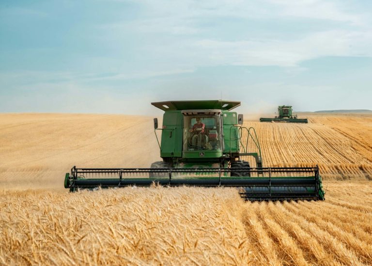 Na poljima oko Zrenjanina rodilo i do osam tona pšenice po hektaru, ratari traže veću otkupnu cenu