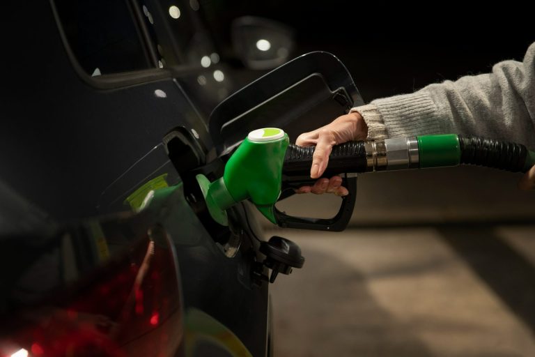Napredna i otpadna biogoriva – Da li su dovoljno održiva?