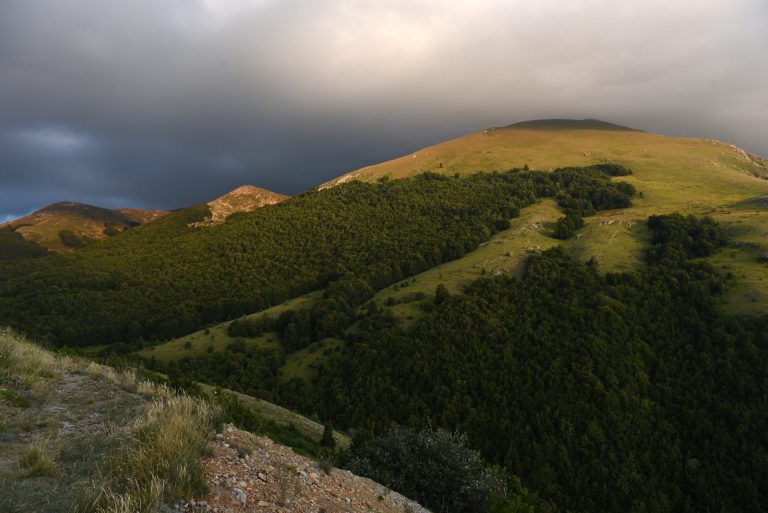 Zajedničkim snagama do poboljšanja u očuvanju prirode