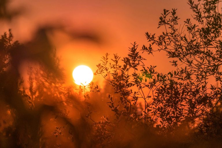 Upaljen crveni meteo-alarm zbog vreline – hladni front i nevreme stižu već večeras