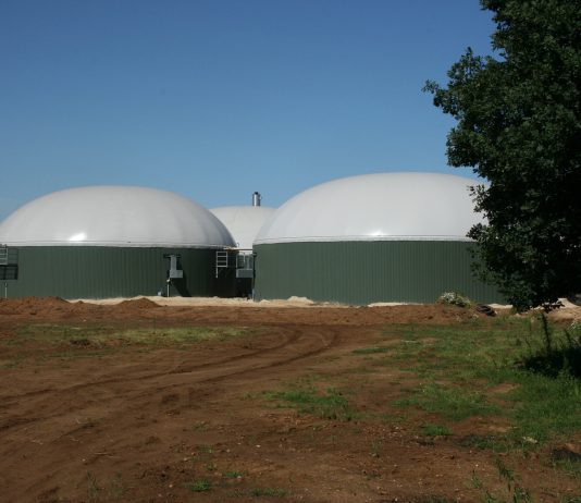 Potencijal biometana u Srbiji: do 2028. može potpuno zameniti prirodni gas kao gorivo biometana