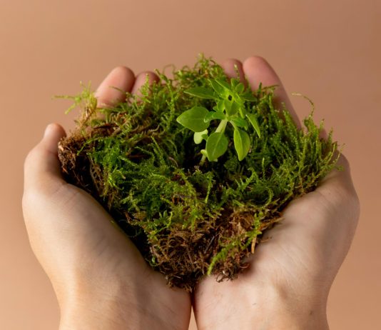 Za projekte zaštite životne sredine u 2026. opredeljeno 25,6 milijardi dinara