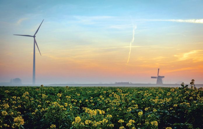 tim-van-der-kuip-_uUgIfON5b0-unsplash