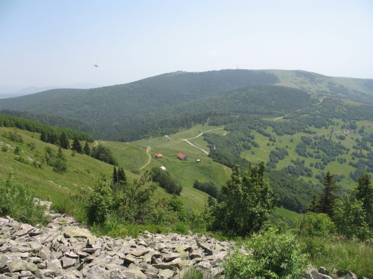 Povećana površina pod zaštitom u Parku prirode „Golija“