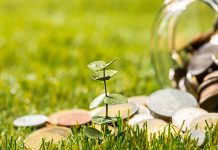 Objavljena Bodovna lista za Prvi javni poziv – IPARD III Mera 3