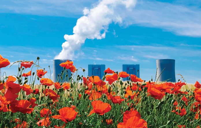 Image-by-CapeCom-from-Pixabay