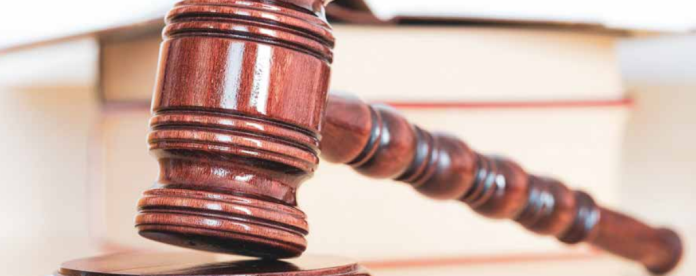 Screenshot 2025-02-19 130601