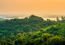 Zemlje Basena Konga predstavile planove za razvoj tržišta ugljenika u sektoru šuma