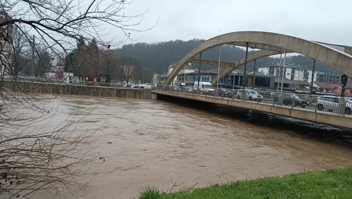 486566365_1193480075704513_4657240469689029110_n