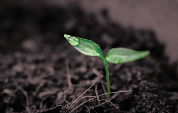 Ngo-Minh-Tuan-from-Pixabay