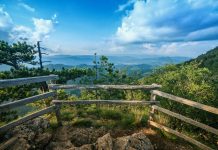 Srbija nominuje bukove šume za upis prvog prirodnog dobra na UNESCO listu svetske baštine