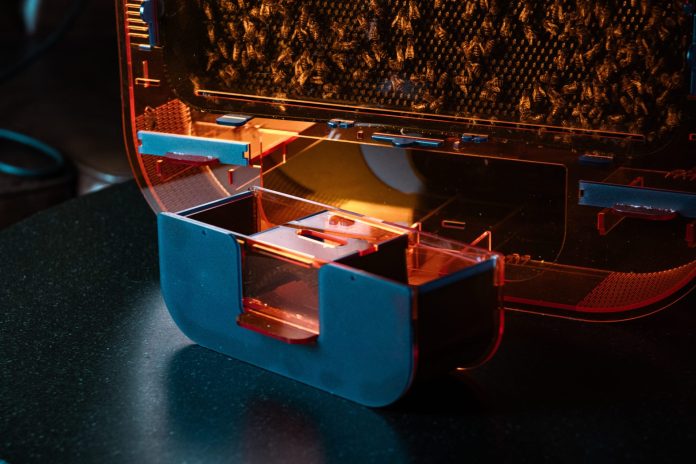 Foto Futuristic beehive