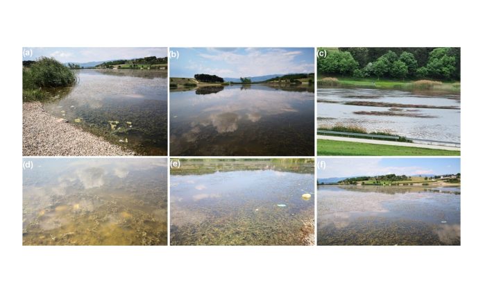 Newsletter fotografije