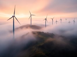 Novi život starih lopatica: od igrališta do surf daske