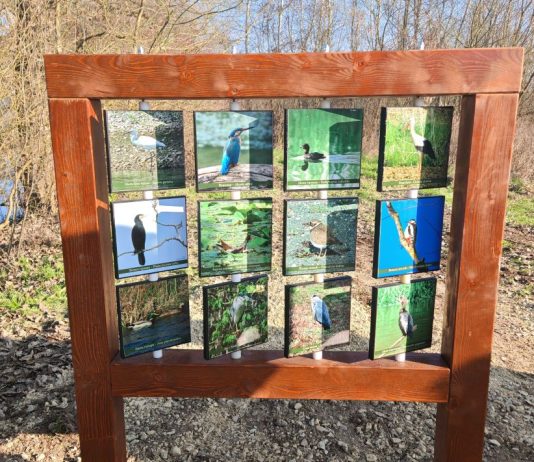 Edukativne table i osmotračnice za ptice u SRP „Osredak”