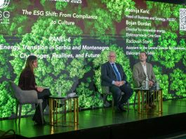 Stanić: EPS garant stabilnosti i u budućnosti