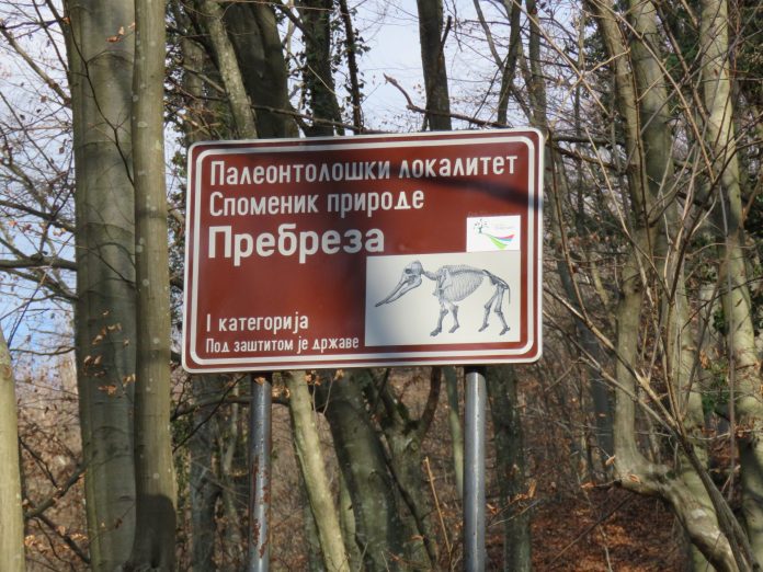 Spomenik_prirode_Prebreza,_Srbija_(3)