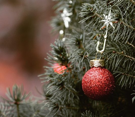 Ekološki vodič kroz praznično ukrašavanje – prava ili veštačka jelka